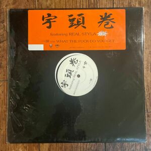 宇頭巻　一掃　WHAT THE FUCK DO YOU GET LP レコード　rap metal