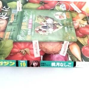 ★ヤングマガジン 2024年４月22日 19号 グラビア 桃月なしこ 千葉祐夕 送185円～  の画像2