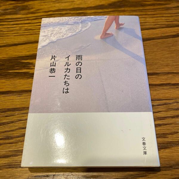 雨の日のイルカたちは （文春文庫　か３７－１） 片山恭一／著