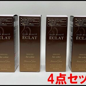 4点セット 新品 ヘアボーテ エクラボタニカル エアカラーフォーム ダークブラウン ボタニカル 白髪染め 80g ECLATの画像1