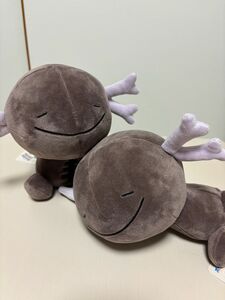 ポケモン　パルデアウパー　ぬいぐるみ　2種セット