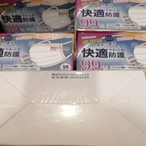 1500枚 訳あり マスク 不織布 使い捨てマスク プリーツマスク hellozebraマスク マスク個包装 三層構造 6㎜平ゴム耳紐 の画像4