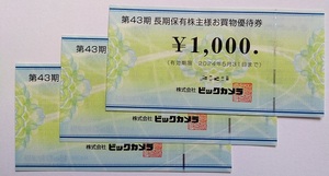 ビックカメラ 株主優待券 3,000円分(1,000円×3枚)　2024年5月31日まで 送料無料（ゆうパケット）