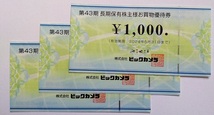 ビックカメラ 株主優待券 3,000円分(1,000円×3枚)　2024年5月31日まで 送料無料（ゆうパケット）_画像1