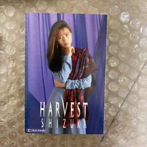 工藤静香／ＨＡＲＶＥＳＴ