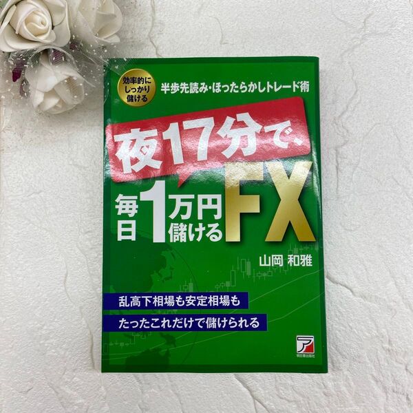 夜17分で毎日1万円儲けるFX 効率的にしっかり儲ける半歩先読み・ほったらかしトレード術 山岡和雅／著