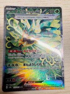 ポケモンカード オーガポン みどりのめんEX SAR sv6 変幻の仮面