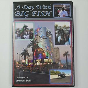ローライダー　DVD A Day With BigFish　Vol.14　クルージング　ホッピング　ストリート　LOWRIDER DVD　