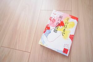 【2冊買い値引可】その日まで(講談社文庫)—瀬戸内寂聴