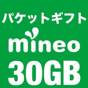 mineo パケットギフトコード 30GB (9999MBx3) マイネオ