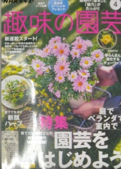 完全新品　ＮＨＫ 趣味の園芸 2024年 4月号 ［雑誌］ (NHKテキスト)