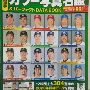 完全新品　2024プロ野球全選手カラー写真名鑑&パーフェクトDATA BOOK