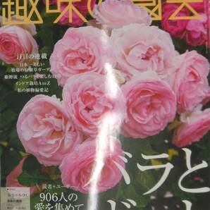 完全新品　NHKテキスト趣味の園芸 2024年 05 月号