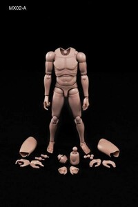 1/6 MX02-A ヨーロッパ系 男性フィギュア用素体 ボディcjx2468