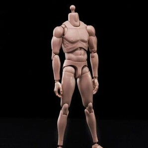 1/6 MX02-A ヨーロッパ系 男性フィギュア用素体 ボディcjx2468の画像2