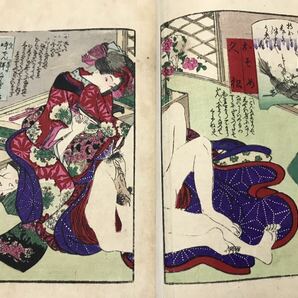 艶本 婦多波乃松 3冊揃 歌川国麿画 吾妻雄兎子序 明治時代 春画 枕絵 秘画 彩色木版画 絵本 浮世絵 唐本 和本 古書の画像7