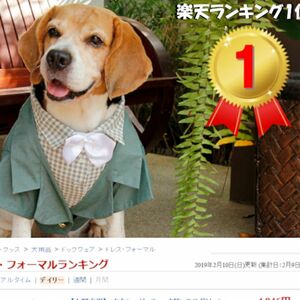 犬　フォーマル服　M 一体型　マジックテープ