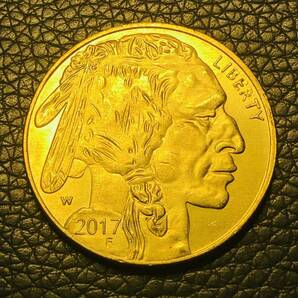 外国古銭 アメリカ インディアン 2017年 セントラルパーク動物園 水牛 大型金貨の画像1