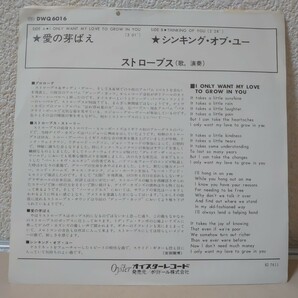 EP☆ストローブス/愛の芽ばえ［プロモ白ラベル見本盤/DWQ6016/1976年/STRAWBS］の画像3