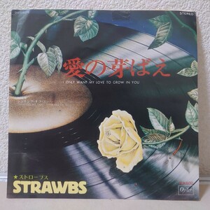 EP☆ストローブス/愛の芽ばえ［プロモ白ラベル見本盤/DWQ6016/1976年/STRAWBS］