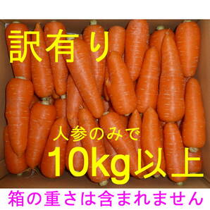 徳島産／ハウス栽培 人参「彩誉」 訳あり品（曲がり・角など） 10kg以上の画像1