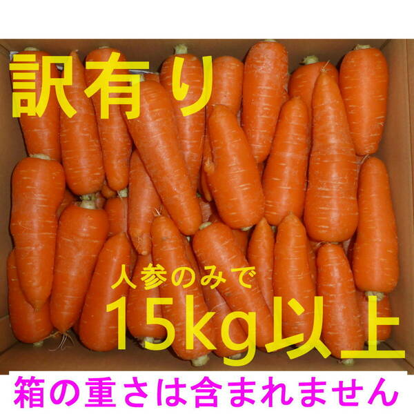徳島産／ハウス栽培　人参「彩誉」　訳あり品（曲がり・角など）　15kg以上