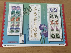 即決　切手なし　ふるさとの花シリーズ　第８集　切手解説書　パンフレットのみ　郵政省　中丸ひとみ　貝淵純子