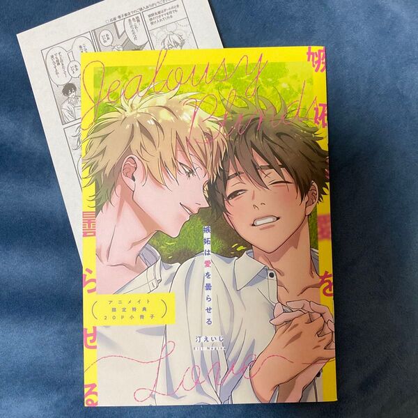 嫉妬は愛を曇らせる アニメイト 小冊子 BL 汀えいじ ペーパー