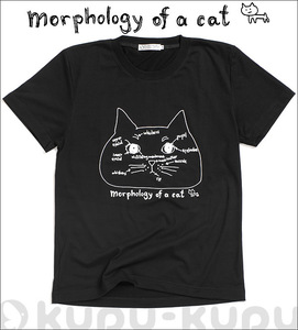 新品 プリントTシャツ/黒/morphology of a cat 猫Tシャツ ねこT Lサイズは最後の1枚