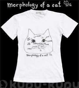 新品 プリントTシャツ/白（ホワイト）/morphology of a cat 猫Tシャツ ねこT レディースMサイズ