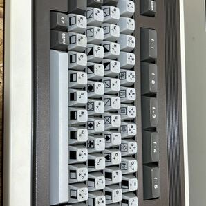 レトロ 旧型PC NEC PC-8801 パーソナルコンピューター パソコン 本体 キーボード 冊子付き 動作未確認の画像9
