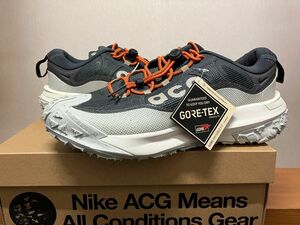 NIKE ACG MOUNTAIN FLY 2 LOW GTX ナイキ マウンテンフライ フライ ゴアテックス GORE-TEX 