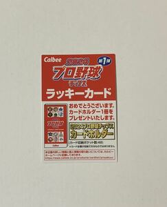 【送料無料】カルビープロ野球チップス 2024年第一弾「ラッキーカード1枚」