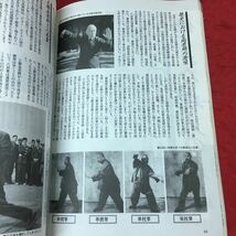 g-660※3 武芸 中国武術 1994年6月号 1994年6月1日 発行 BABジャパン 雑誌 武術 格闘 随筆 中国拳法 趣味_画像8