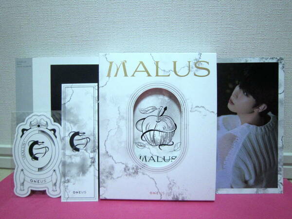 K-POP♪ ONEUS ワンアス 8th Mini Album「MALUS」韓国盤CD+LAVN ポストカード他～ 美品！