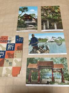 送料無料　北満の絵葉書4枚(龍潭山、小白山、松花江　他)