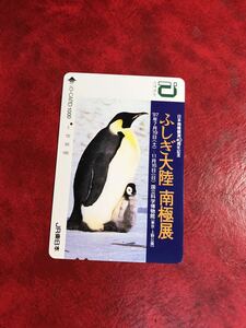 C481 1穴 使用済み イオカード JR東日本　ふしぎ大陸 ペンギン 