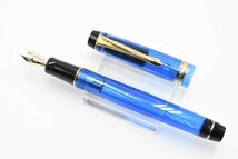 PILOT パイロット 株主優待 2021年 万年筆 CUSTOM HERITAGE 91 + 実用筆記具セット 全7点 箱付き 20791083_画像3