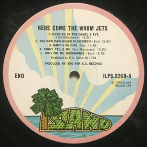【KHONKA KLUB /カナダ入荷 /即決】Eno / Here Come The Warm Jets /ピンズ/ピンバッジ/Brian Eno/Robert Fripp /アンビエント(kk-b-09)の画像6
