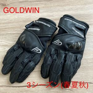 GOLDWIN