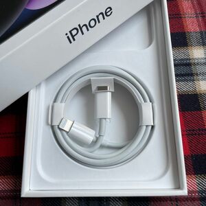 アップル iPhone充電器　USB-C ライトニングケーブル　純正品 