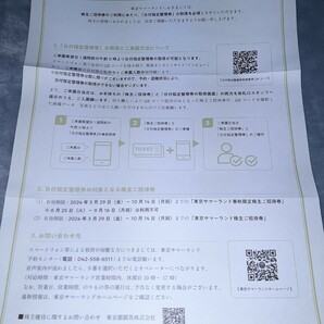 8枚 東京サマーランド 株主優待券(春秋) 1デーパス 東京都競馬 2024年10月14日迄 匿名配送 送料込 即決4200円の画像2