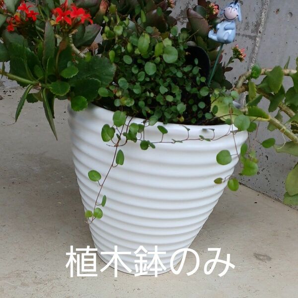 植木鉢