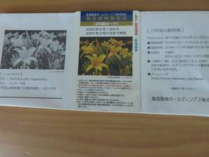 阪急阪神ホールディングス　株主優待　株主回数乗車証　２５回カード 2024/5/31（定形郵便：送料無料）