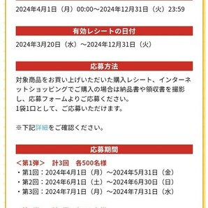 応募レシート1口分☆エアリアルありがとう15周年記念プレゼントキャンペーン！オリジナルデザインQUOカード1,500円分が当たる！懸賞の画像4