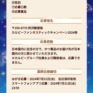 応募券30点1口分☆カルビーファンタスティックキャンペーン2024！東京ディズニーシー貸し切りパーティーご招待、チケットなど当たる！懸賞の画像5