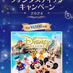 応募券30点1口分☆カルビーファンタスティックキャンペーン2024！東京ディズニーシー貸し切りパーティーご招待、チケットなど当たる！懸賞の画像1