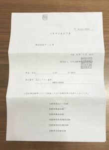 SARD キャタライザー　書類　BNR34