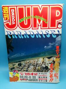 ■週刊ヤングジャンプ 1984年 6/28 NO.28 通巻No.220 月イチ連載 ただいまっ!! 佐藤智一/いとしのエリー/みんなあげちゃう/かっとびハート