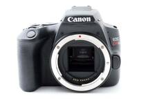 保証付き！Canon/キヤノン EOS Kiss X10、Canon EF28-80㎜1:3.5-5.6II Canon EF 75-300mm F4-5.6 II USM レンズセットULTRA SONIC_画像3
